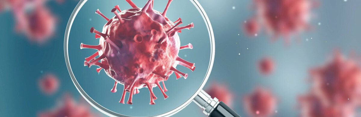  ���� ������ ������� ����� 