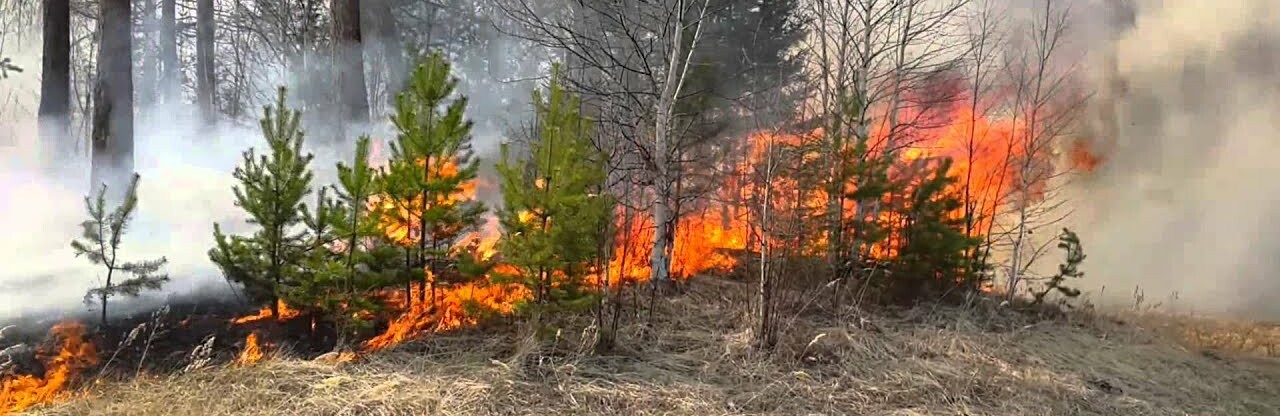  �������� ����� ���� ������ 