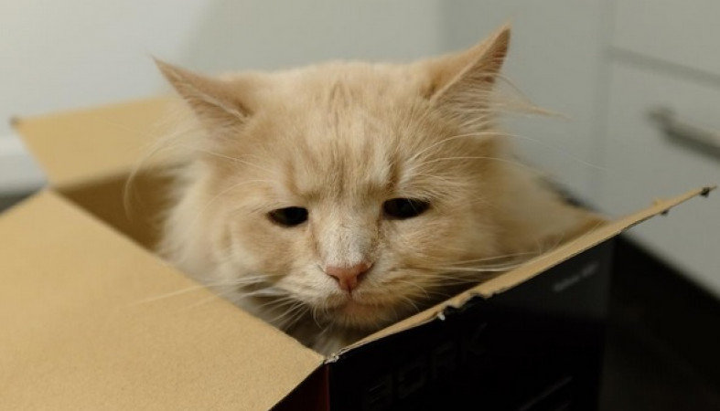  ���� ���� ���������� �������� ���� ������ 