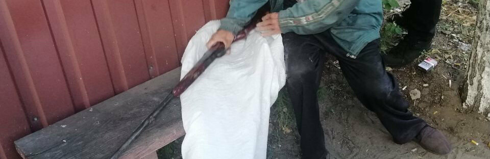  ���� ������ ���������� ������� ����� ��������� ������������ ���� 