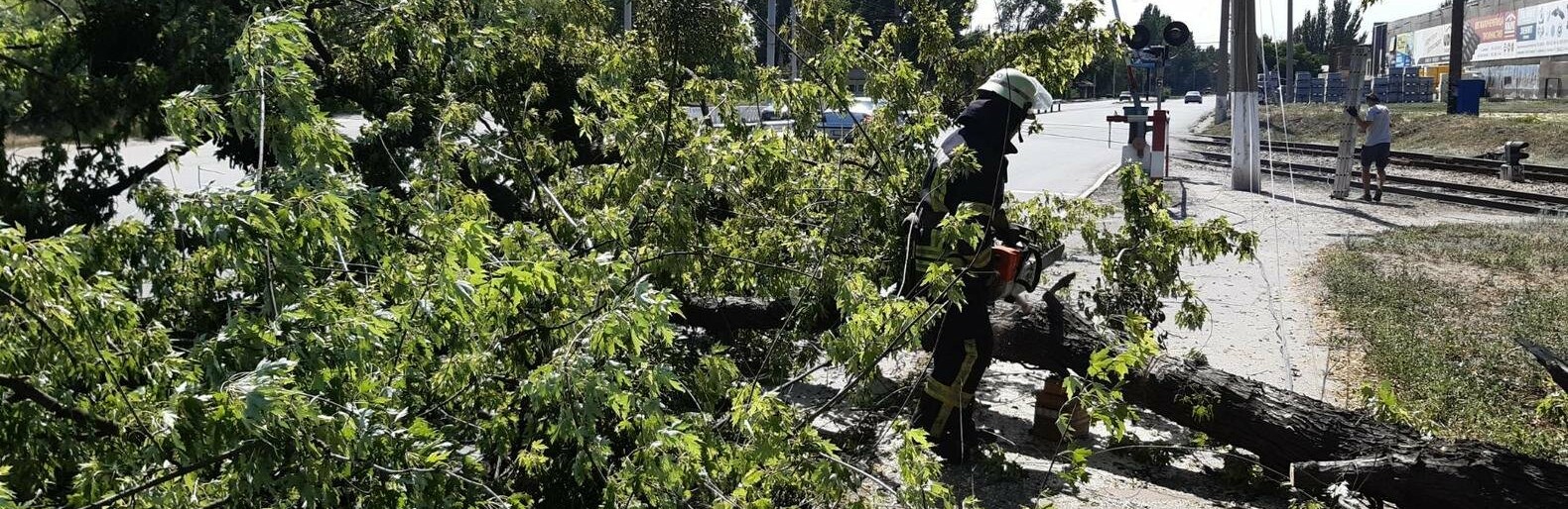  ������������ ���� ������ �������� ���� ��� ������ ������ 