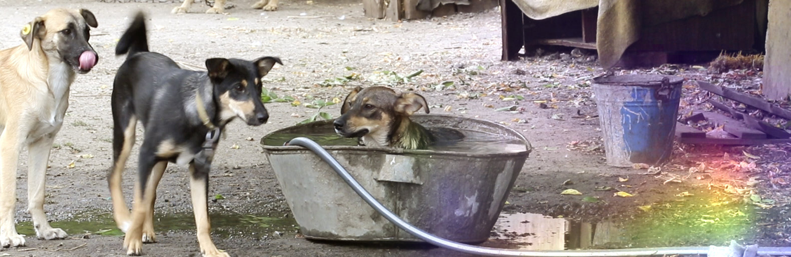  �������� ������������� ������� ���� ������ ��� 