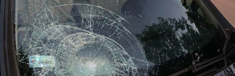  ���� ������ ��� ��� ����������� ��� 