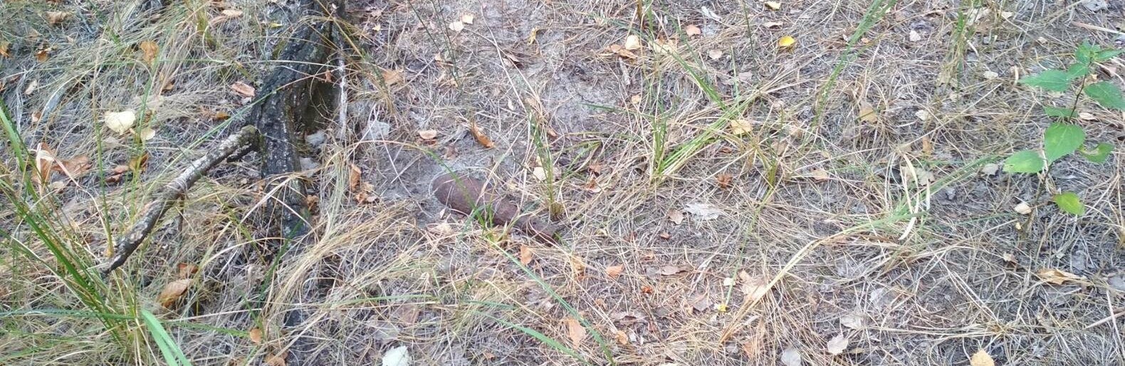 ����: 6262.com.ua