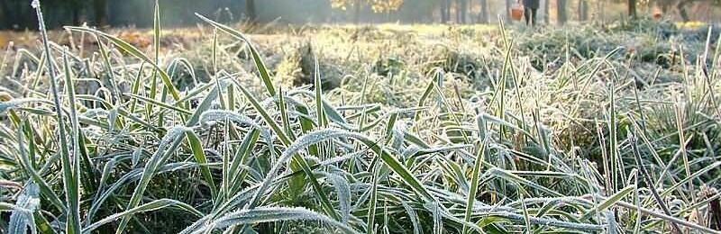  ������� ��������� 