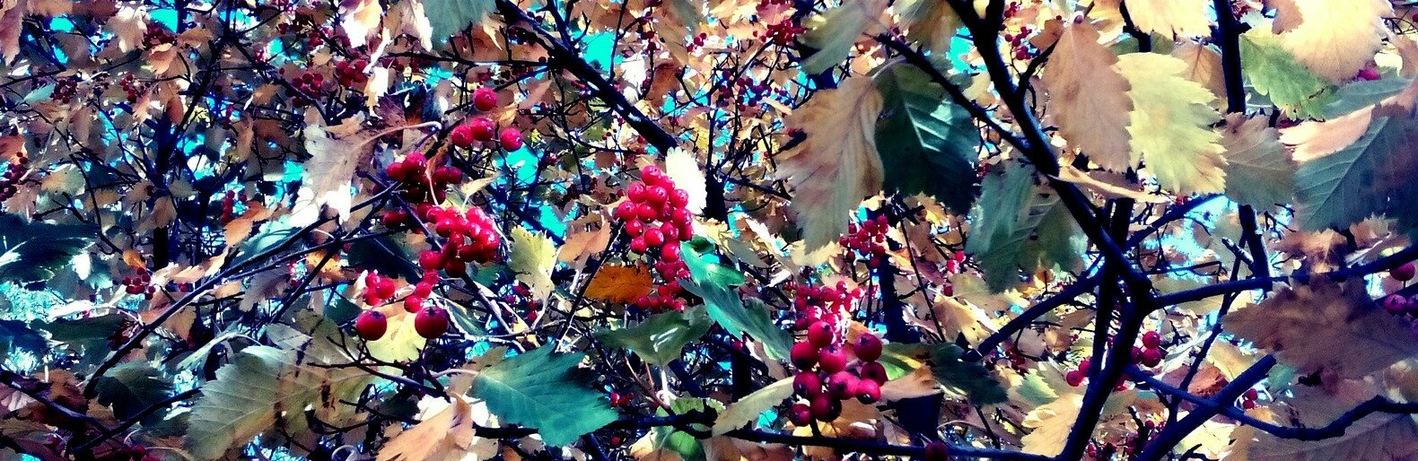  ������ ������� �������� ��� ���������� ������ ����� ���� 