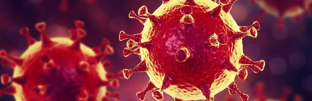  ���� ������� ����� ������ ��� ������ 