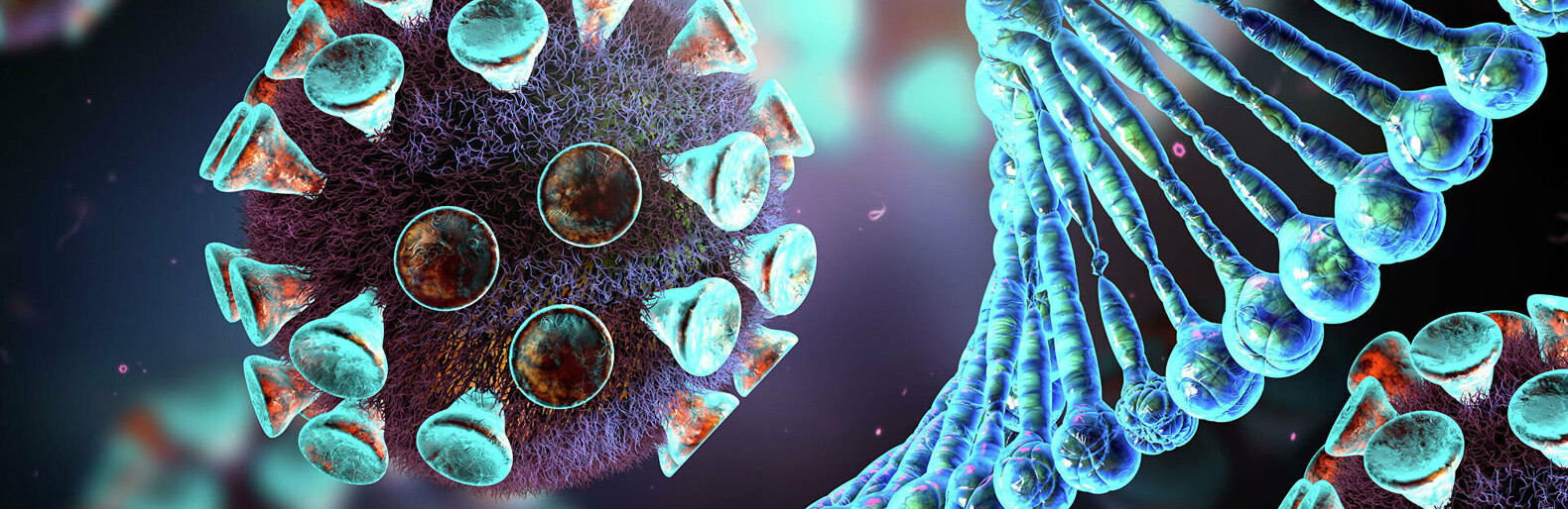  ���� ����� ��� ������ ������� ���� ���� 