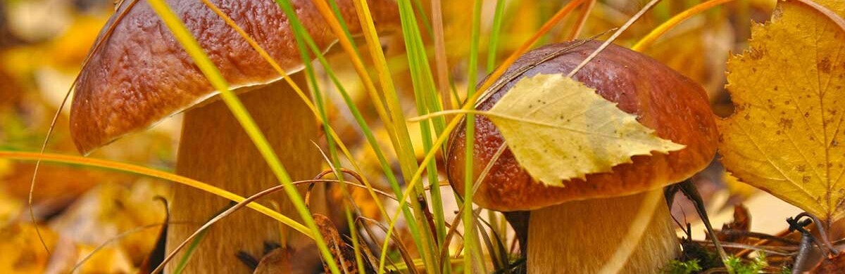 ����: 6262.com.ua