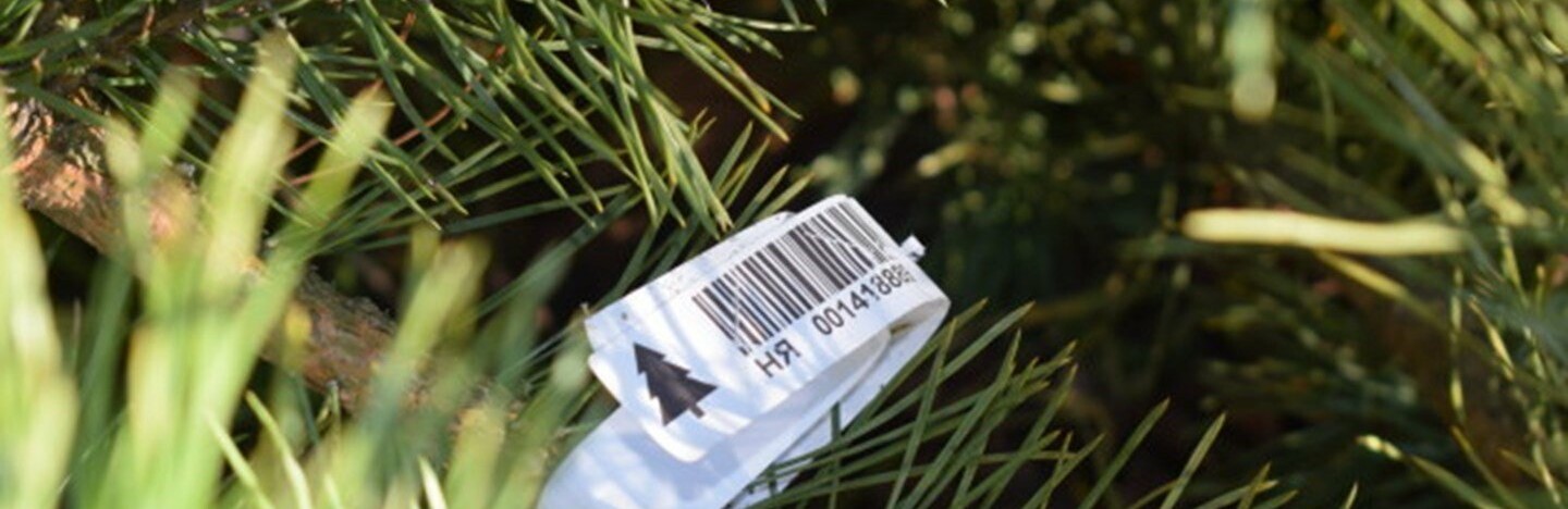  �������� ������ ����� �������� ����� 510 1020 ������� 