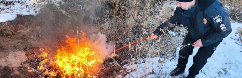  ���� ������ ������� ��������� 