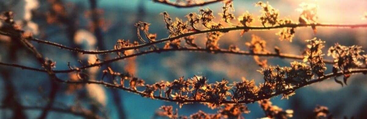 ����: 6262.com.ua