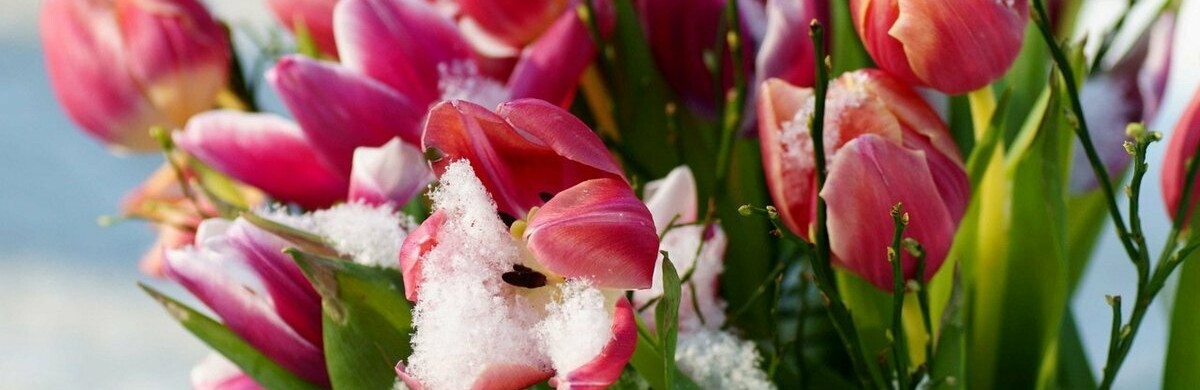 ����: 6262.com.ua