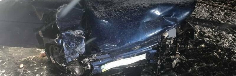  ���� ������� ��� ��� ������������ ���� ������ 