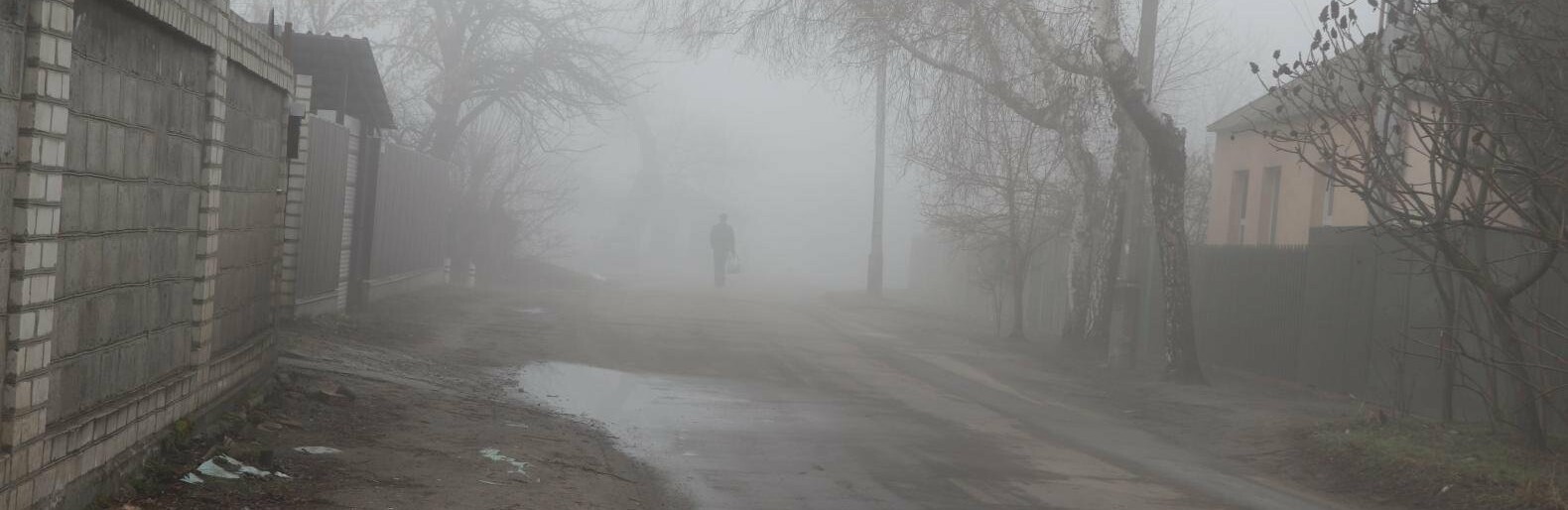  �������� ����� ���� ������ ���� 