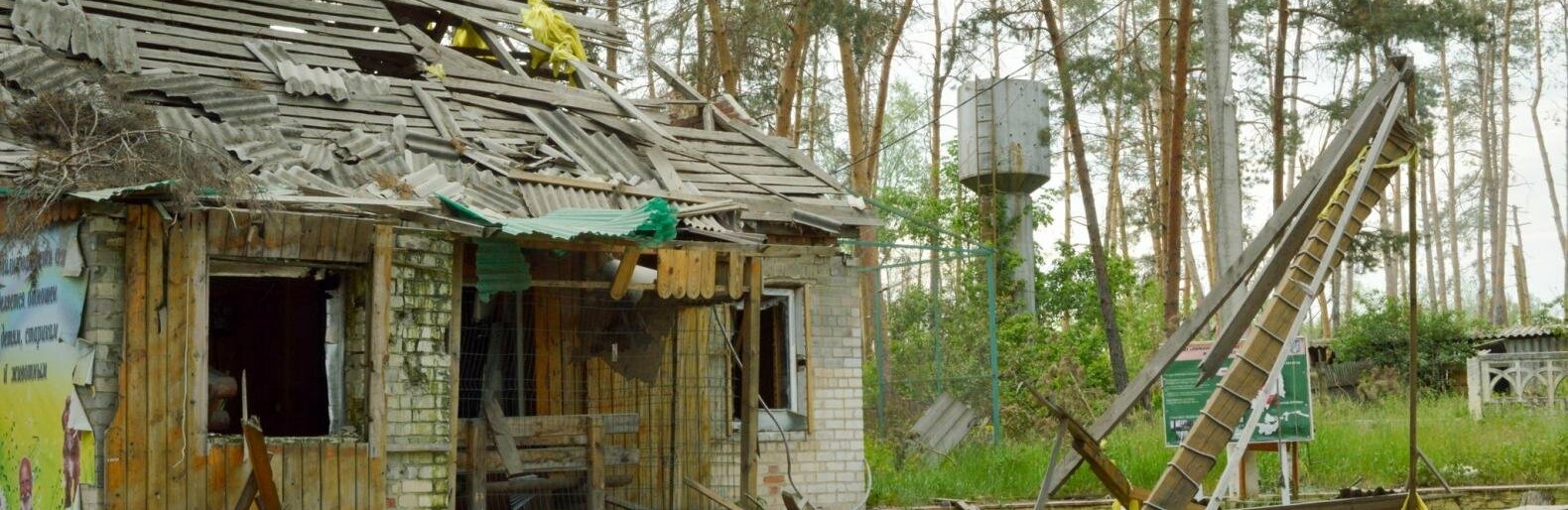 Замість Ямпільського лісгоспу - суцільні руїни. Наслідки російської окупації