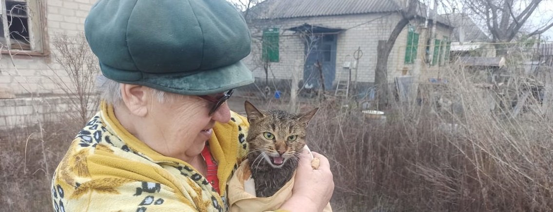 Рятувальники у Лимані врятували кішку з колодязя