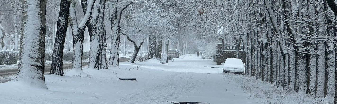Сніг на Донеччині: водіїв закликають бути уважнішими