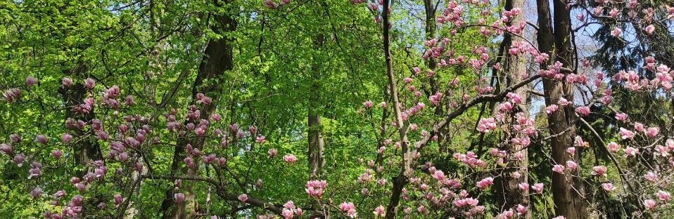 Що відзначають сьогодні та чому цей день вдалий для морських подорожей