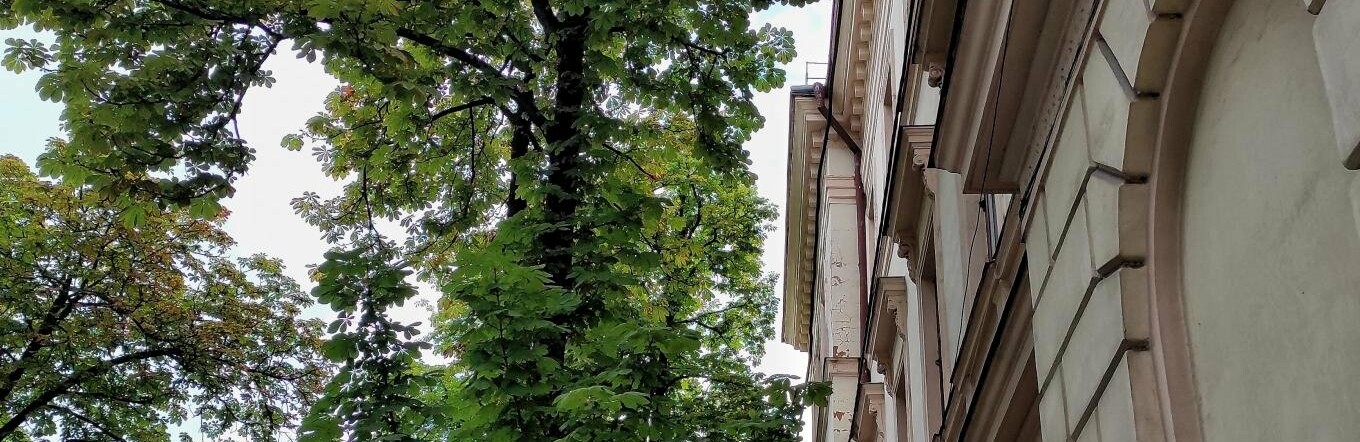 Яке свято 1 серпня: народні прикмети на цей день