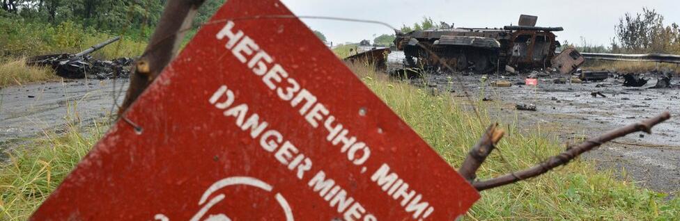 З початку року жителі селищ Маяки, Дробишево, Райгородок і Ямпіль підірвалися на мінах 