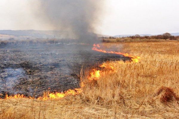 Мешканців Донеччини закликають не палити суху траву