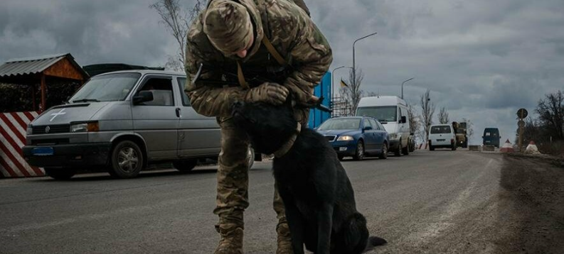Як гвардійці-кінологи відновлюють боєздатність службових собак у Слов’янську