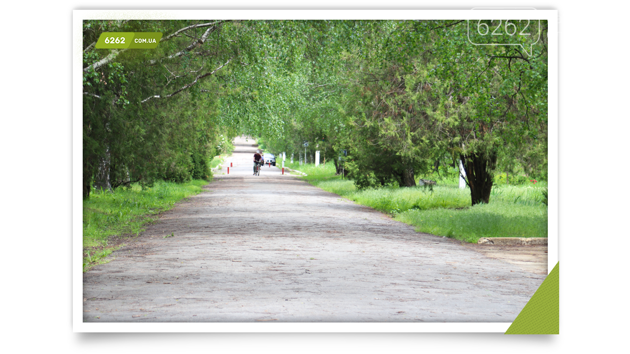 Сміття, трава і занепад. Сумна картина з парку Словкурорту , фото-2