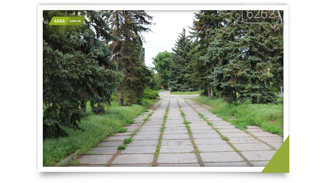 Сміття, трава і занепад. Сумна картина з парку Словкурорту , фото-4