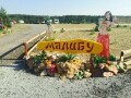 Пляж счастья «Малибу» Краснолиманский район голубые озера