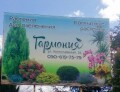 Магазин растений "Гармония пространства"