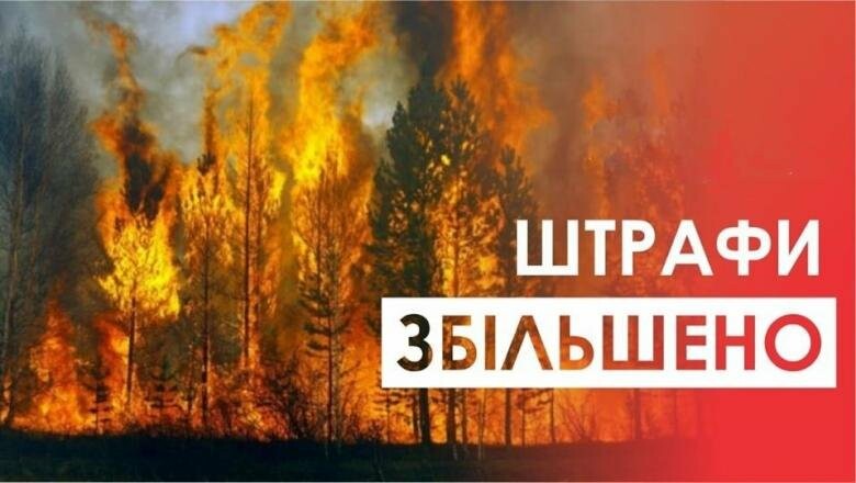В Україні законом заборонили підпалювати суху рослинність