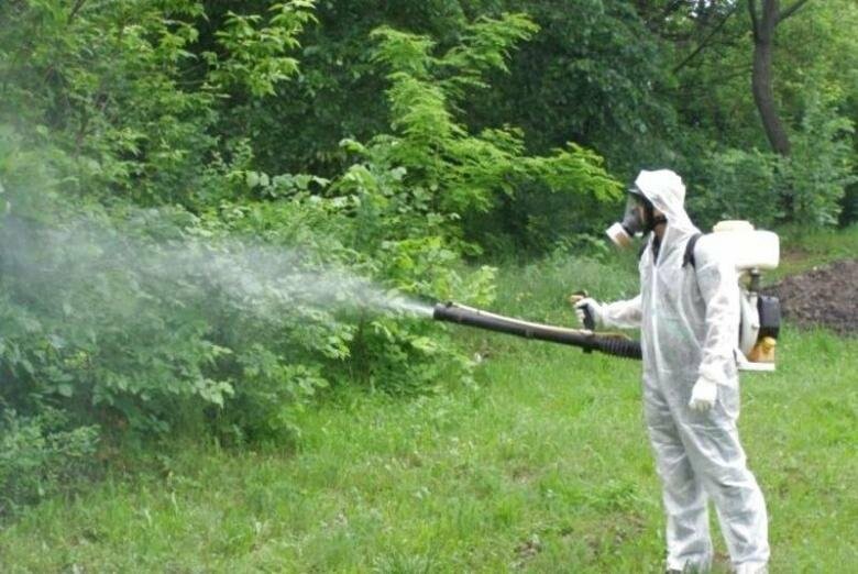 У Слов'янську обробка від кліщів залежить від прийняття бюджету - міський голова