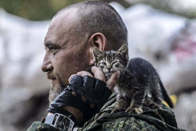 Військові та їх чотирьохлапі друзі. Котики ЗСУ і не тільки, фото-1 Військові та їх чотирьохлапі друзі. Котики ЗСУ і не тільки, фото-1