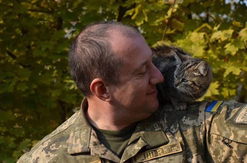 Військові та їх чотирьохлапі друзі. Котики ЗСУ і не тільки, фото-16 Військові та їх чотирьохлапі друзі. Котики ЗСУ і не тільки, фото-16