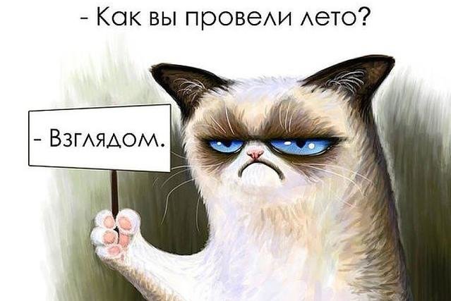 "Вот и лето прошло". Смішні картинки про кінець літа, фото-7 "Вот и лето прошло". Смішні картинки про кінець літа, фото-7