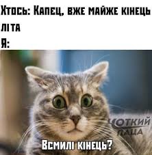 "Вот и лето прошло". Смішні картинки про кінець літа, фото-6 "Вот и лето прошло". Смішні картинки про кінець літа, фото-6