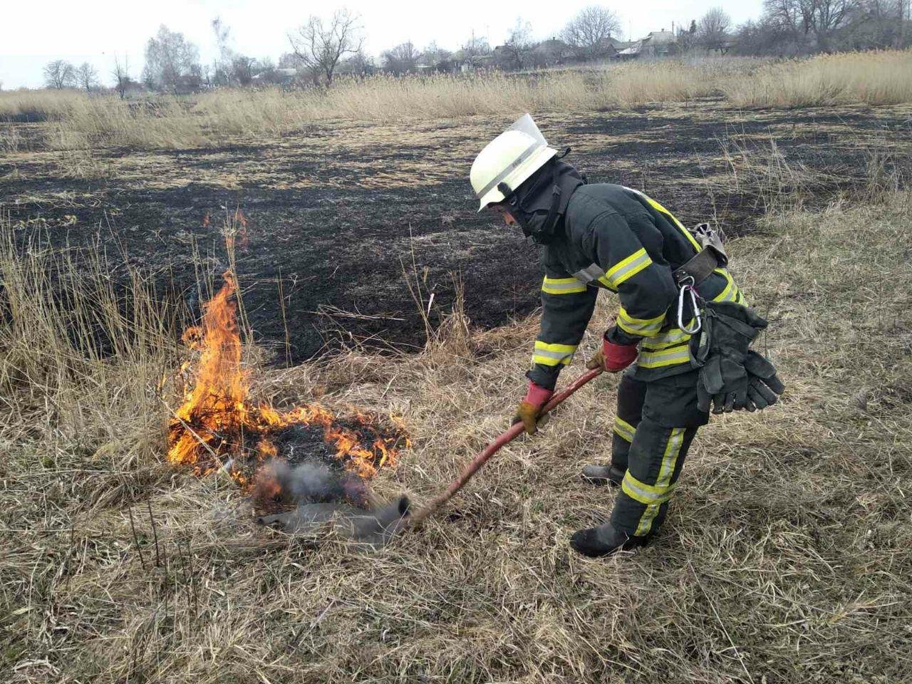 За неділю на Донеччині сталося 92 пожежі в екосистемах, фото-1