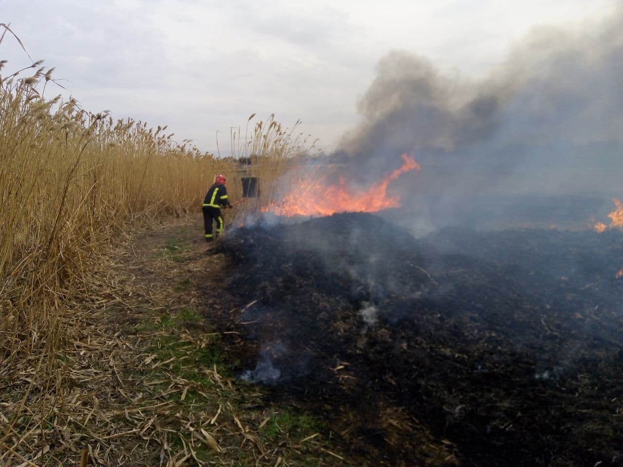 За неділю на Донеччині сталося 92 пожежі в екосистемах, фото-2