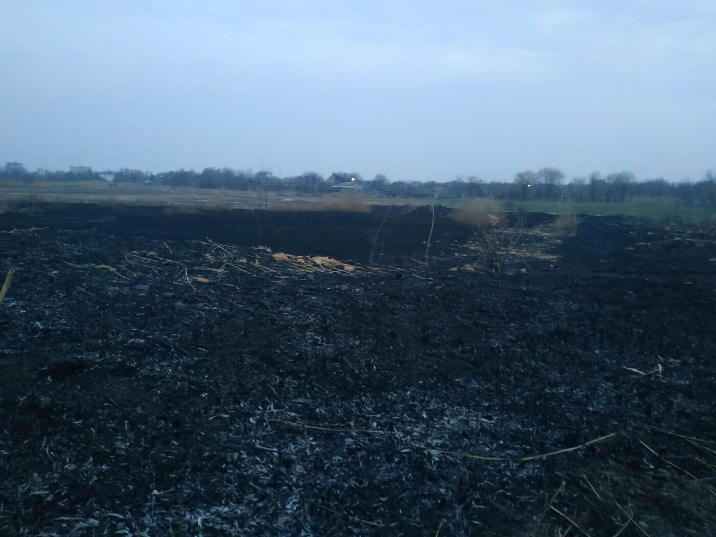 Горить вся країна. 5 причин не спалювати траву та очерет   