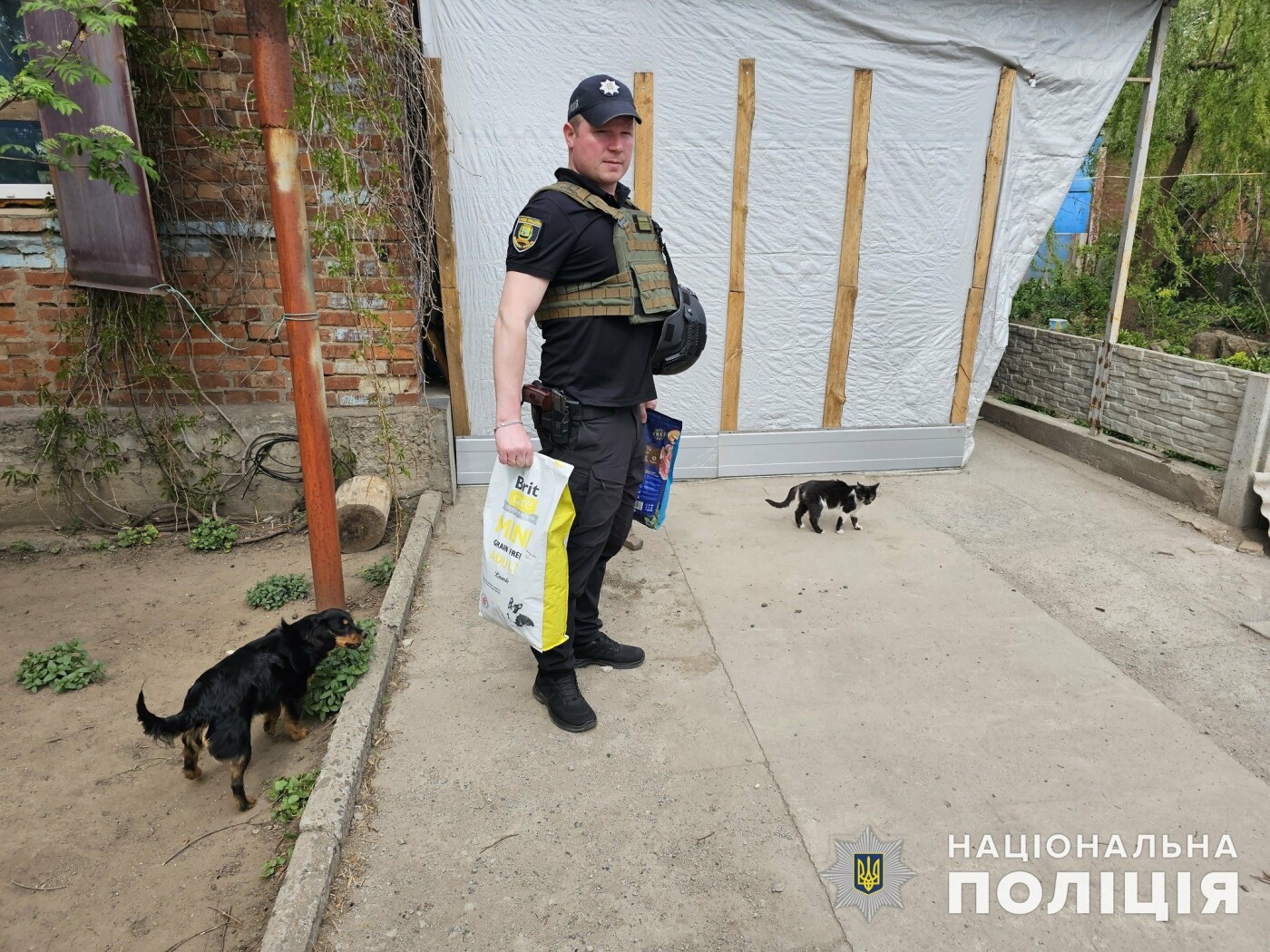 Поліцейські привезли корм та ліки у притулок на околиці Костянтинівки
