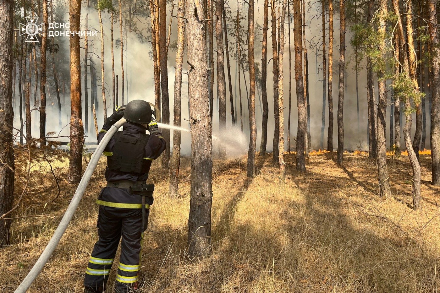 Ліквідація пожежі у НП "Святі Гори"