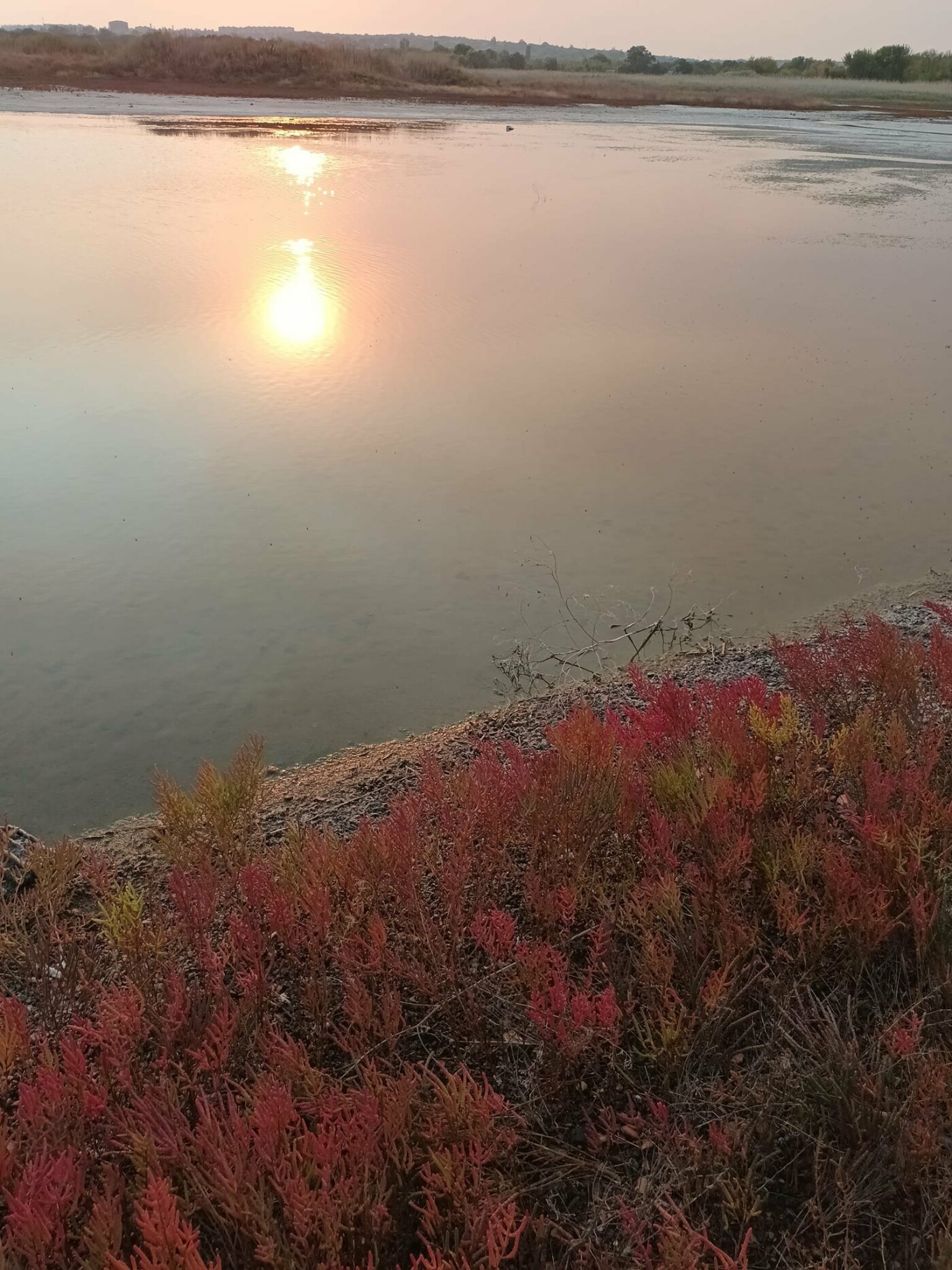 Солонець Слов’янського Курорту