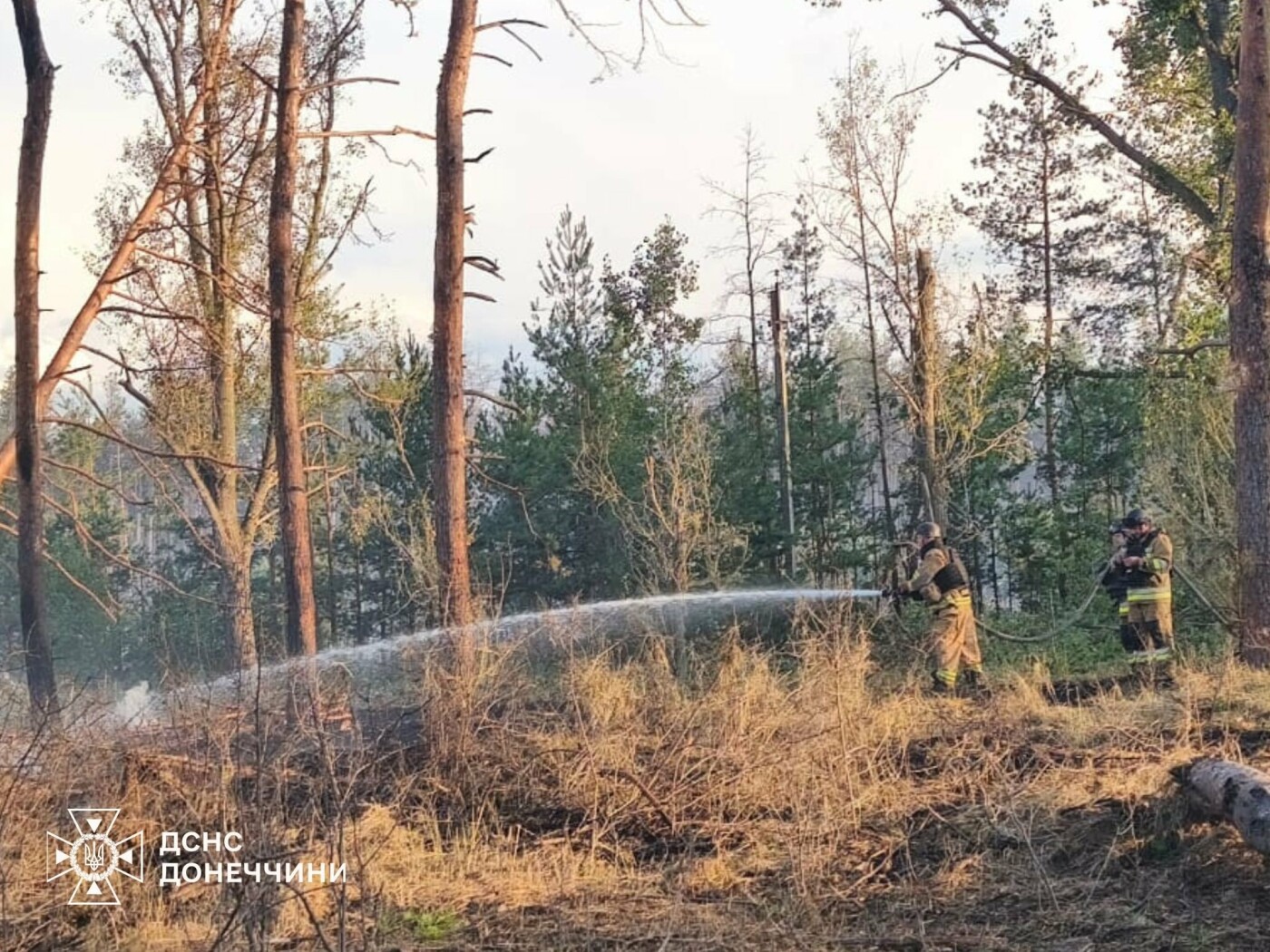 ДСНС Донеччини