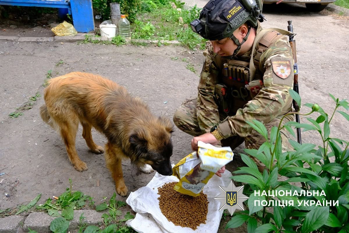 Поліція Донеччини, Поліцейські екіпажу «Білий Янгол» у Миколаївці Поліцейські екіпажу «Білий Янгол» у Миколаївці