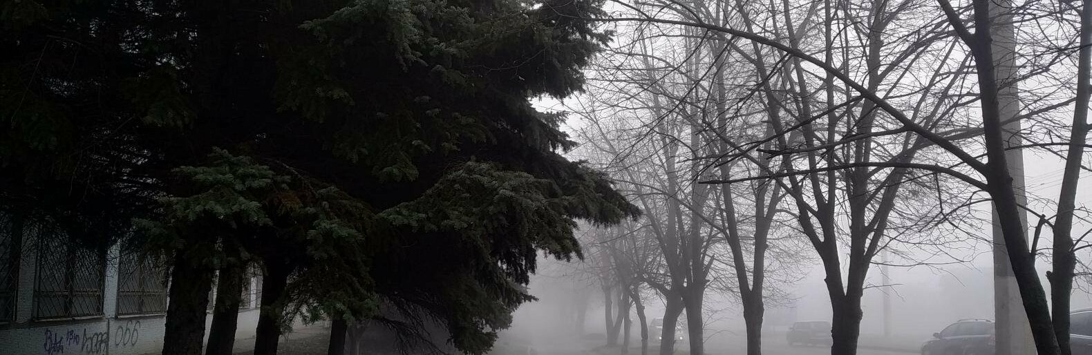 У Слов'янську сильний туман. Водіїв попереджають бути обережними