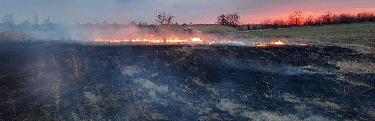 За неділю на Донеччині сталося 92 пожежі в екосистемах
