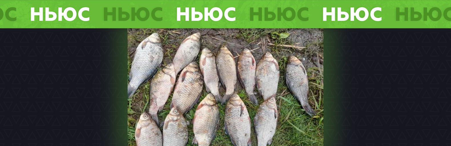 Житель Слов'янська нестиме відповідальність за незаконний вилов риби