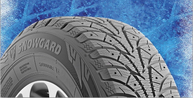 Украинские нешипованные шины Rosava SnowGard Van: характерные ...