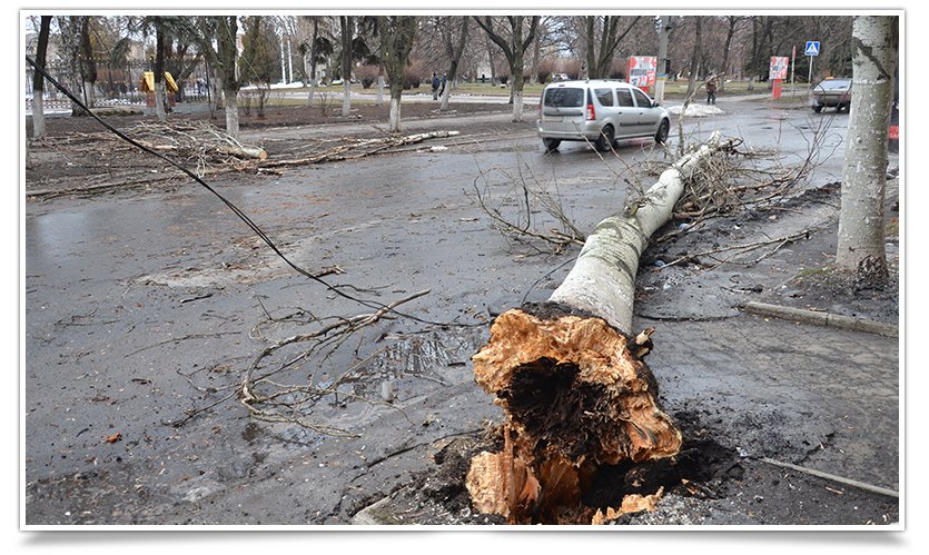 Ночью в Славянске прошёл ураган, повалены деревья и заборы (фото) - фото 1